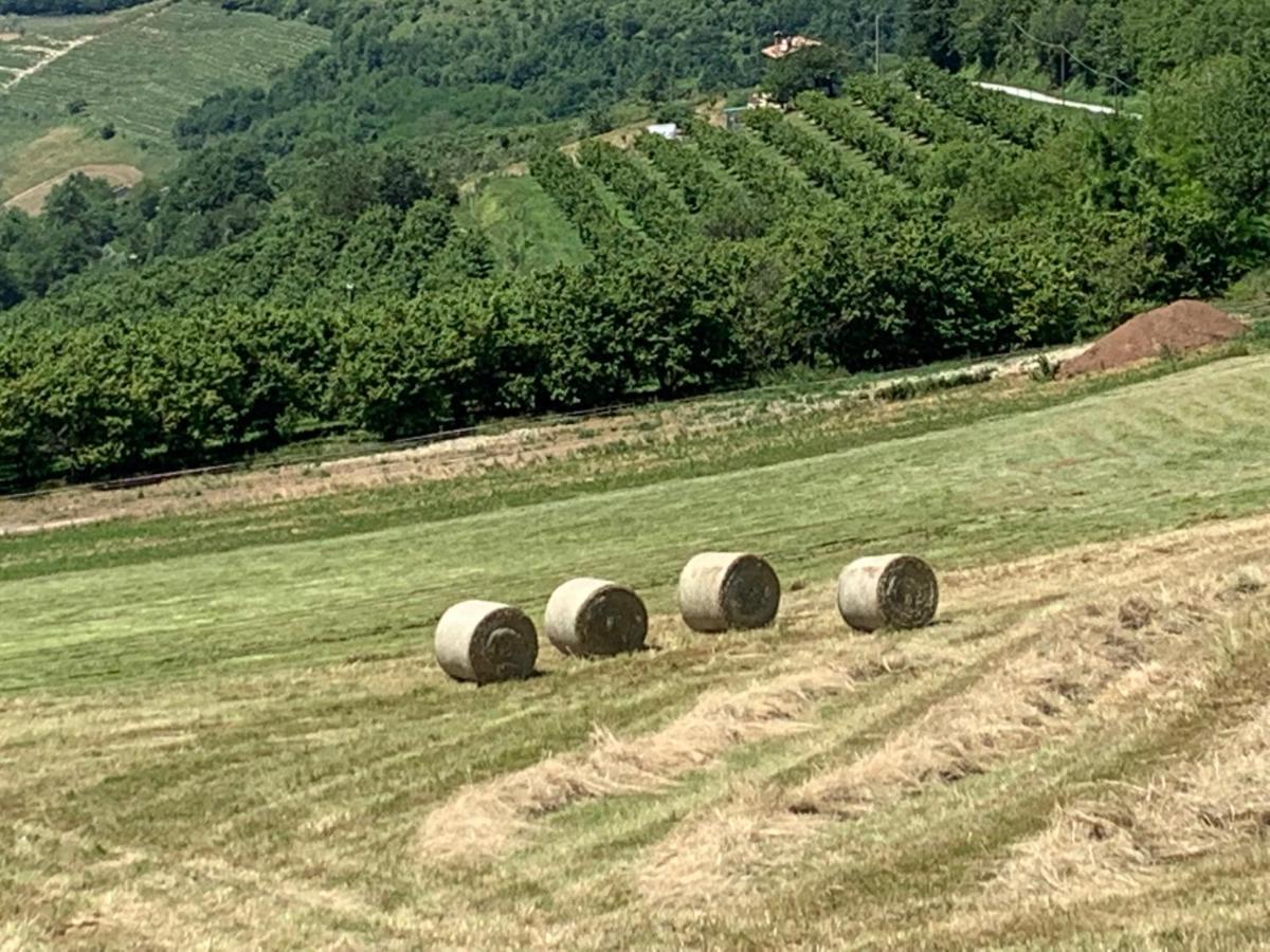 La Luce Delle Colline Bed & Breakfast Serravalle delle Langhe Exterior photo
